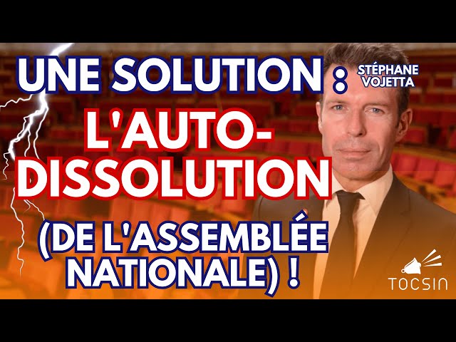 "Il faut que les 577 députés démissionnent simultanément pour reprendre le pouvoir !" - S.Vojetta