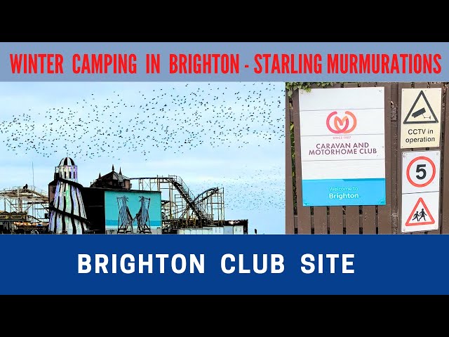 BRIGHTON CLUB CAMPSITE | The Lanes | Starling Murmurations | Vlog 680