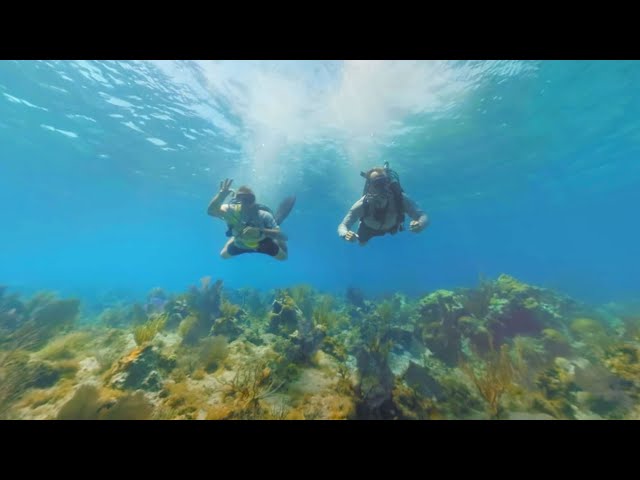 The Hidden Worlds of the National Parks 360° VR Film