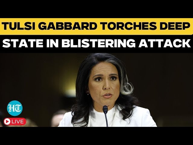 LIVE | Deep State in Panic Mode as Tulsi Gabbard Unleashes a Firestorm During Senate Confirmation