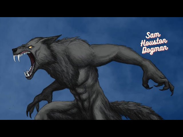 Amazing Dogman Sighting In Sam Houston National Forest!