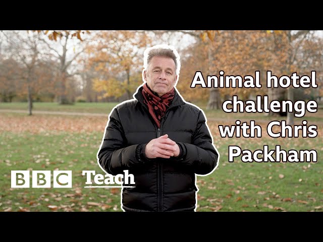 Animal hotel challenge with Chris Packham | Planet Create | BBC Teach