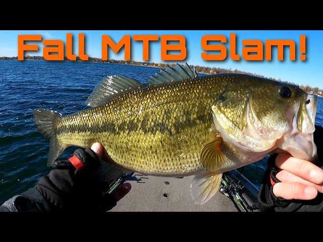 Mystery Tackle Box Slam - October Bass Elite - Fall Bass Fishing