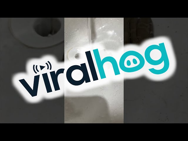 Frog Hops From Sink to Face || ViralHog