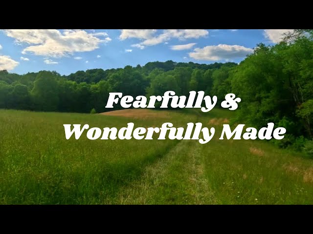 Fearfully & Wonderfully Made/Praise & Worship Song/Gospel Song/Christian Music #praise&worshipsong