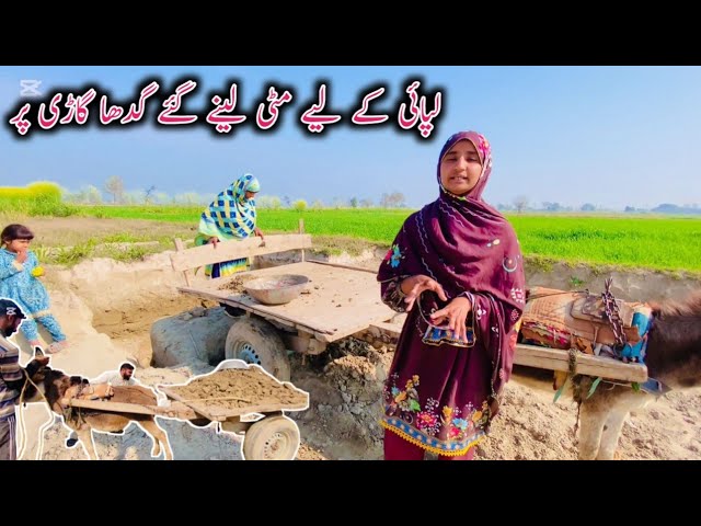 Lipai Ke Liye Mitti Lene Gaye Gadha Gadi Per | Village Life House Family Vlogs | happy villagefamily