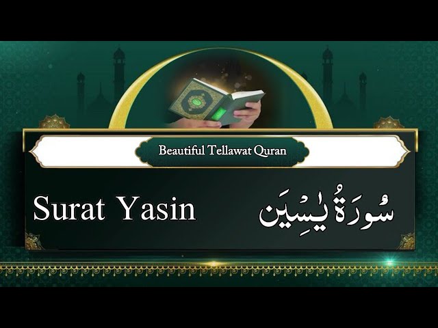 Live 🛑 : Surah Al-Yasin Full  Beautiful Tellawat || Arabic  Text (HD) سورۃ یاسین ||By MUHAMMAD USAMA