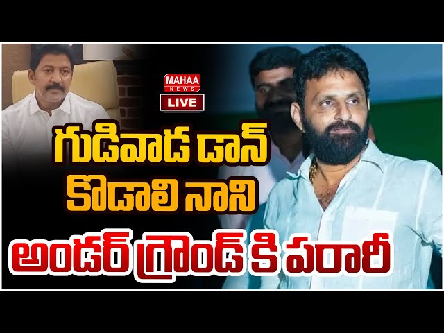 LIVE🔴:గుడివాడ డాన్ కొడాలి..అండర్ గ్రౌండ్ కి పరారీ | Mahaa News