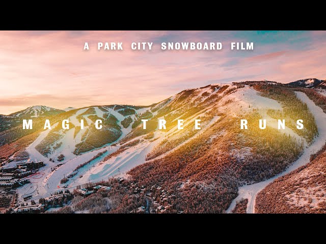 Magic Tree Runs in PARK CITY film