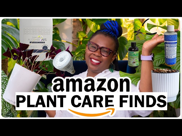 Must-Have Amazon Indoor Plant Products For THRIVING Plants