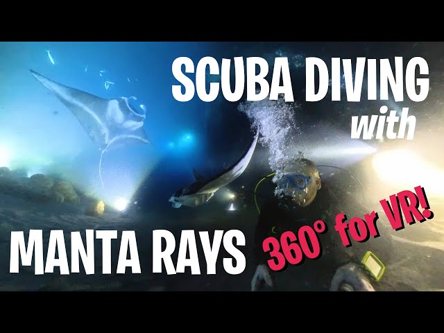 Scuba Diving with MANTA RAYS at NIGHT! | 360° Video for VR