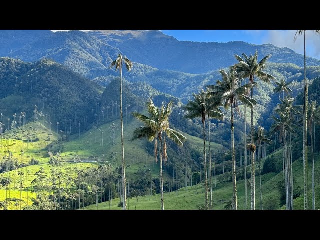 Gringo Trail Ep3: COLOMBIA, Salento, we hike 12km Cocora Valley trail