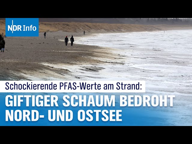 Umweltgift PFAS im Meeresschaum an Nord- und Ostsee – Was Urlauber wissen sollten! | NDR Info