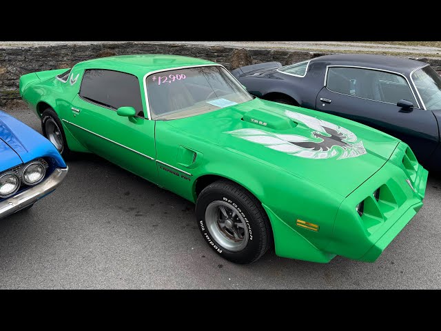 Test Drive 1979 Pontiac Trans Am $12,900 Maple Motors #2847