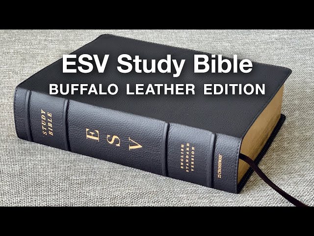 ESV Study Bible | Full Review (Buffalo Leather Edition)