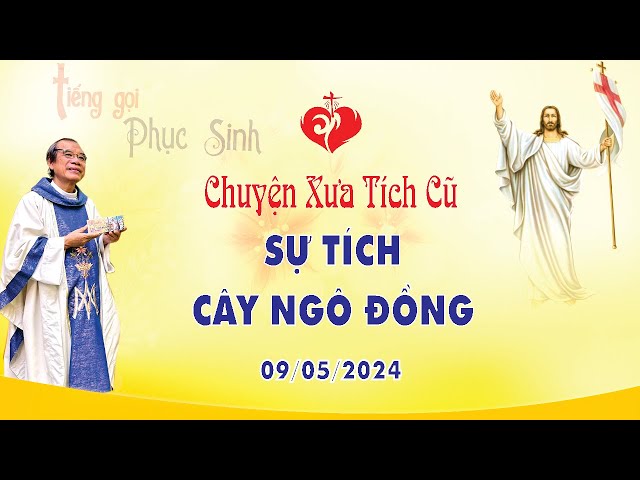 Chuyện Xưa Tích Cũ | Sự Tích Cây Ngô Đồng | 09/05/2024