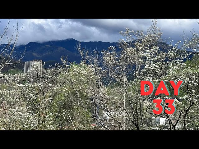 Day 33 - Zero Day in Gatlinburg TN - Appalachian Trail Thru Hike 2024 Attempt