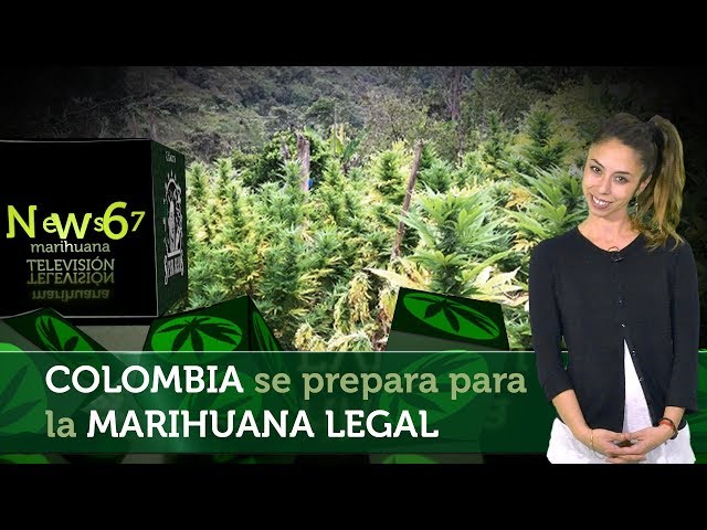 Colombia se prepara para la MARIHUANA LEGAL. Expo Bogotá, ExpoMedeWeed, Cultivo en el Cauca  NEWS 67