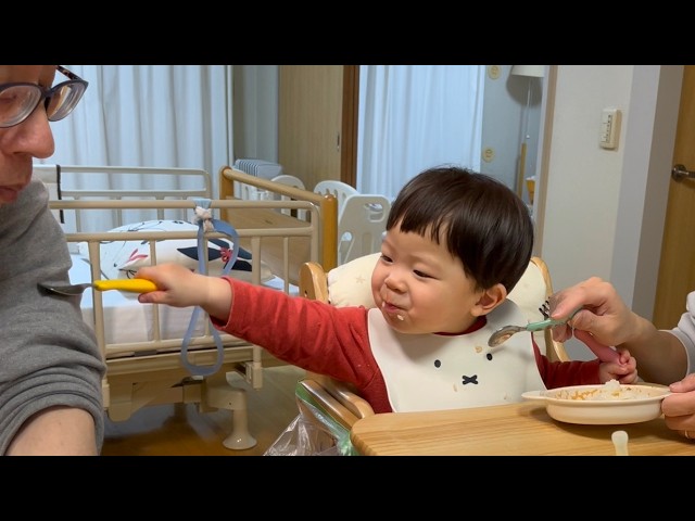 🌈Mugi’s happy with his meatball sauce rice! After dinner, it’s a family cheers time! (1y5m9d No.9)