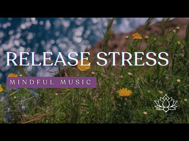 🌼 Mindfulness Meditation Music | Gentle Piano & Flowing Nature | Find Balance & Inner Peace 🌊