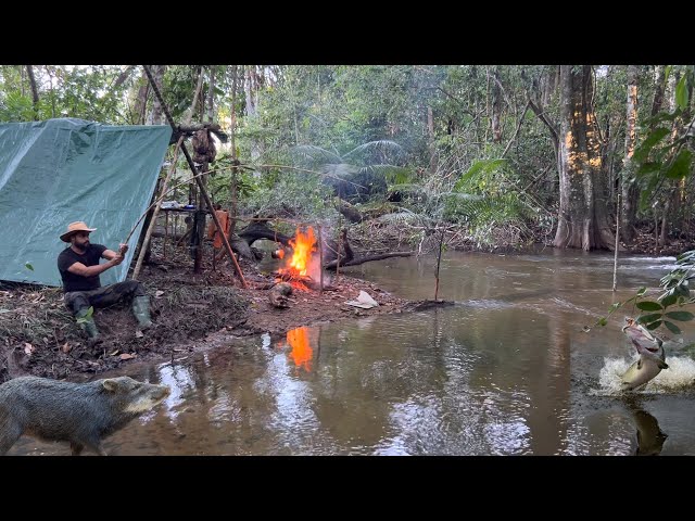 PESCANDO ACAMPANDO Encontrei os PORCOS SELVAGENS fiz PEIXE frito, cozido em algum lugar da AMAZÔNIA