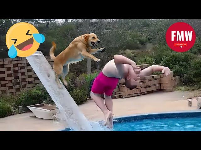 Funny & Hilarious People's Life 😂 #298 | Instant Regret Fails 2025 - Try Not To Laugh Challenge