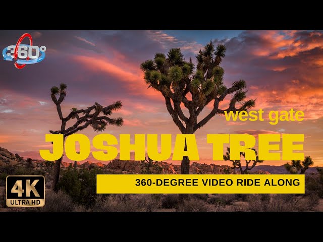 Joshua Tree West Entrance 360 4K Video