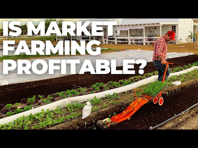 Market Gardening Profits Exposed: The Truth About Profits in Small-Scale Farming