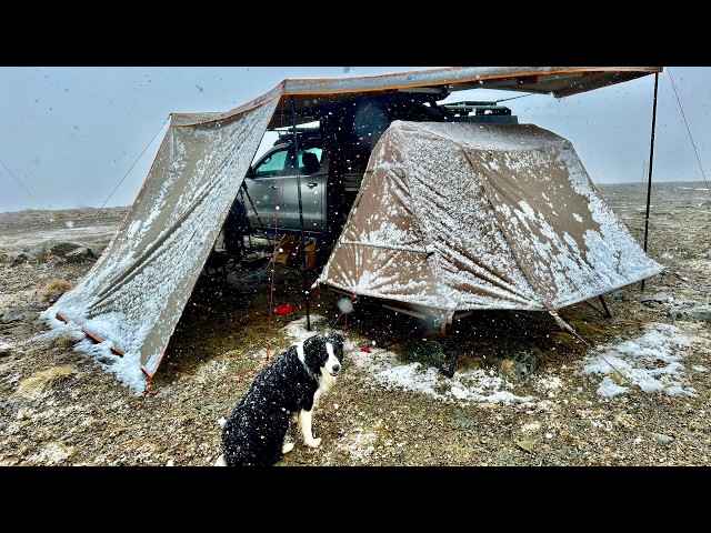 Winter Car Camping In A Snow Storm With Dog