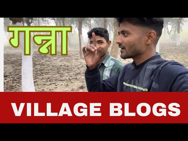 गन्नें की खेत [ village blog ]  #vlog