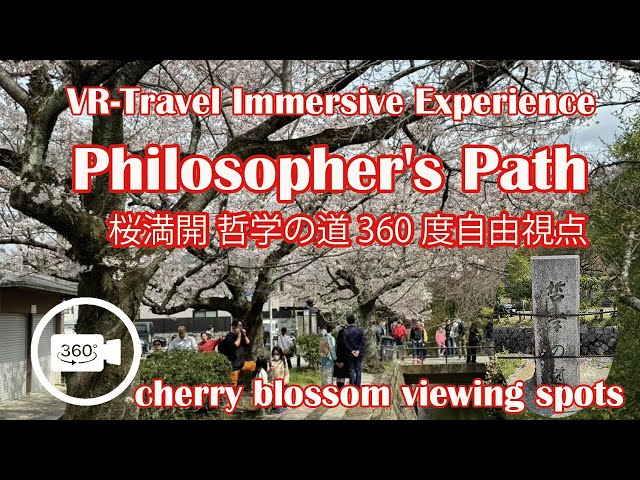 Walking Tour Philosopher's Path cherry blossom viewing spots in Kyoto 京都 哲学の道 桜 満開 見頃