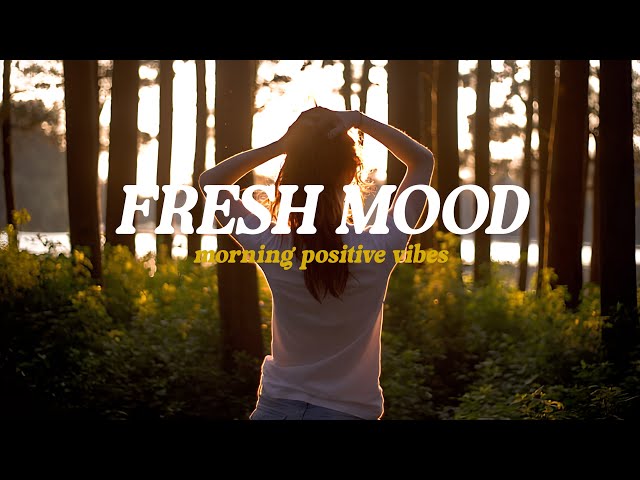 Fresh Mood / Feel The Heart / Happy Acoustic Indie Pop Folk Playlist to start your day