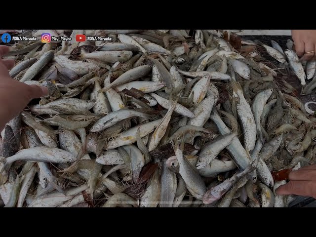 Tehnik tarik jaring tanpa naik ke daratan bisa kumpulin ikan di air || Ke pantai piknik bersama