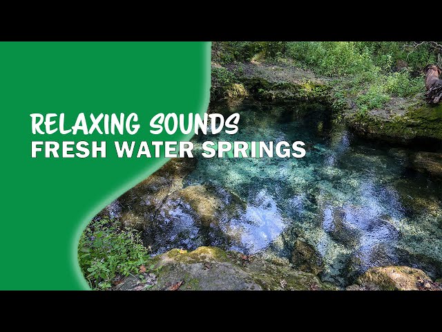 Soothing Fresh Water Spring Sounds for Mindfulness and Relaxation