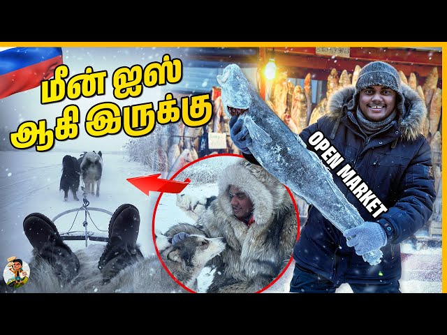 World Coldest Open Market எல்லமே Ice -ஆ தான் இருக்கும் | Tamil Trekker