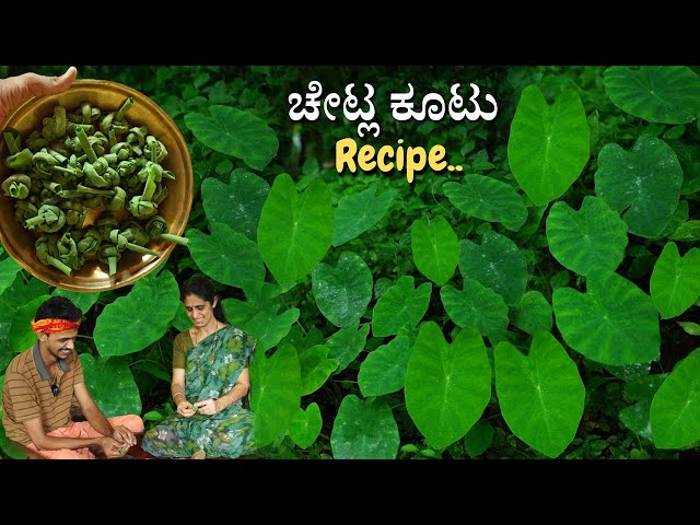 Village style Colocasia leaves recipe | Colocasia leaves knots | Chetla | Thetla kootu | ಚೇಟ್ಲ ಕೂಟು