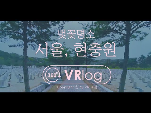 【감성 VRlog】 지는 것의 숭고함(벚꽃명소, 현충원) / 5K 360 VR 브이로그