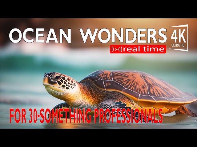 Aquarium Ocean 4K HD🐠Sea animals with relaxing music-beautiful and colorful sea animals life videos