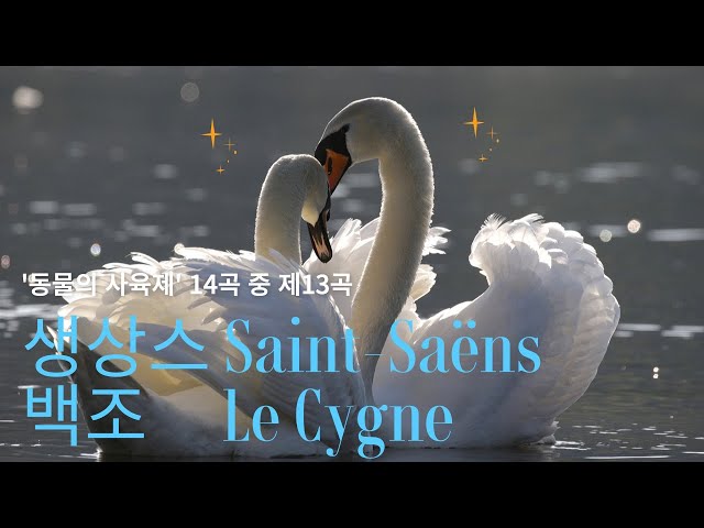 생상스 동물의 사육제 중 13번 백조 (1시간 듣기)  Saint-Saëns Suite Le Carnaval des Animaux No.13 Le Cygne (1H Loop)