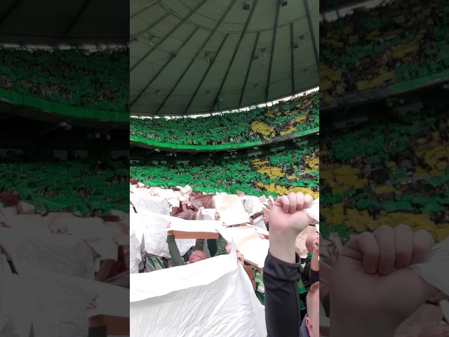 💚🤍🧡 #celticpark and the #celticfans celebrate flagday with full stadium tifo and party #celtic