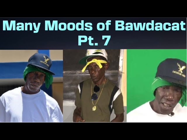 Funniest #Bawdacat Stories Pt. 7 My Reaction #jamaica #comedy #viral