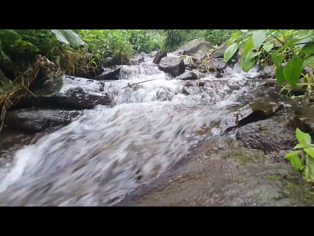 🌊 Soothing Mountain Stream – Relaxing Water Sounds for Sleep & Meditation | White Noise ASMR 😴✨