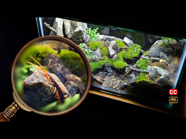 Simulating a rainforest ecosystem with a Hidden Predator | Vivarium