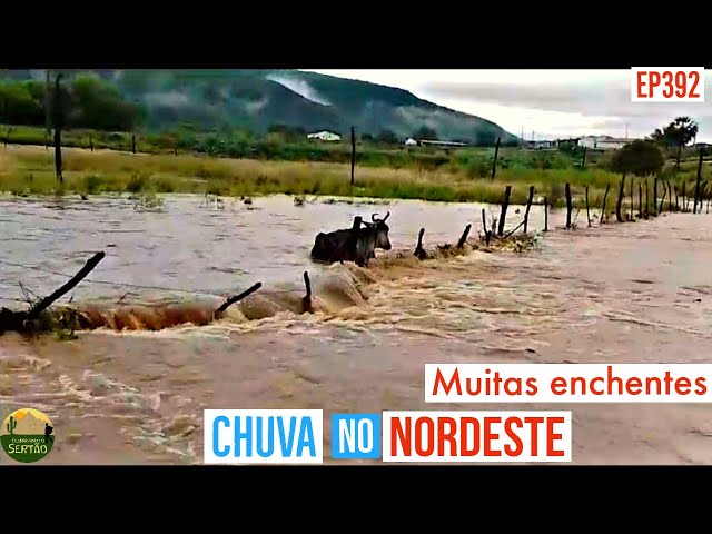 Enchentes e Chuva no Sertão Nordestino Ep392