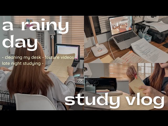 a rainy day study vlog | studying managerial econ, financial accounting, and globalization