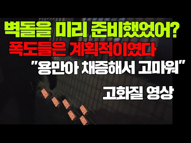 [긴급]서부지법 폭동 벽돌을 미리 준비했다! 계획적 폭동 [용만전성시대 고화질영상]