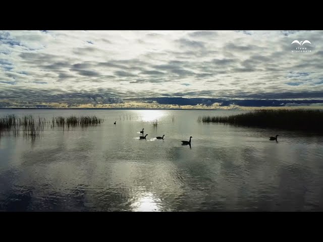 Price of Pollution: Toxic PFAS contamination devastates two Wisconsin communities