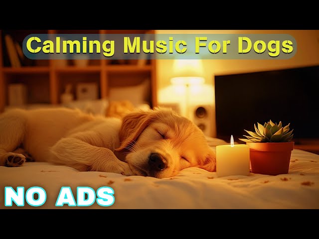 12 HOURS of Relaxing Music For Dogs💖🐶Anti Separation Anxiety Relief🐶💖Pet music🎵 Deep Sleep