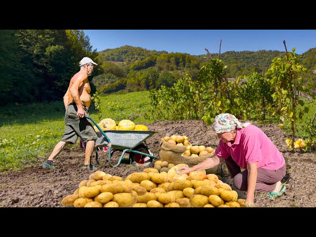 Hard life in a mountain village of the Carpathians. The family is engaged in agriculture