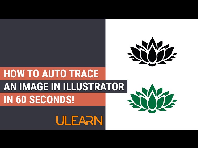 How to Auto Trace an Image in Illustrator in 60 seconds!